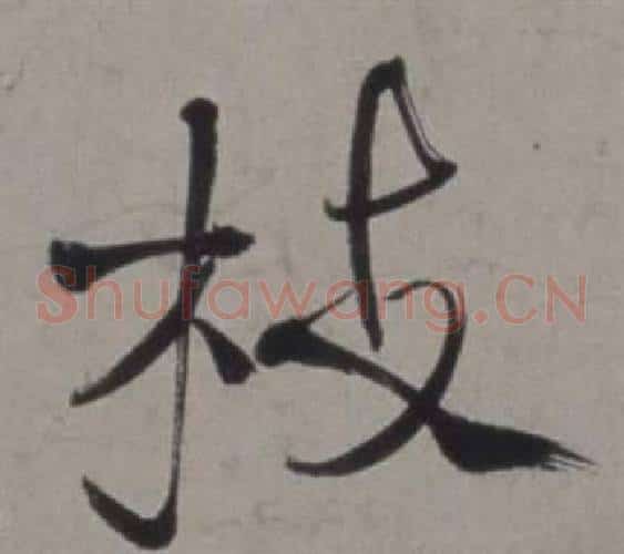 枝