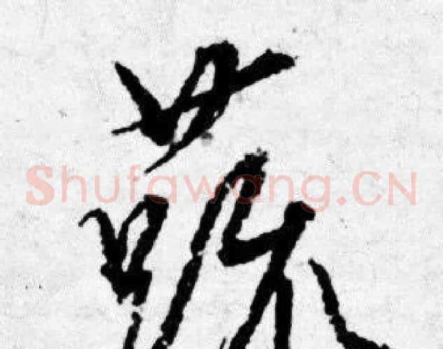 蔬