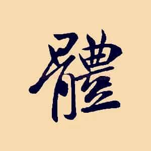 體