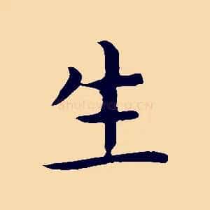 生