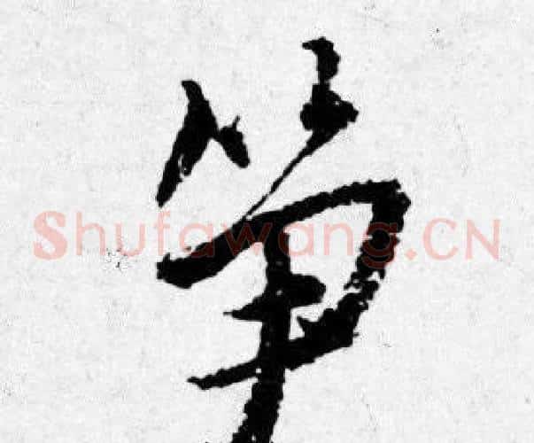 笋