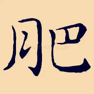 肥