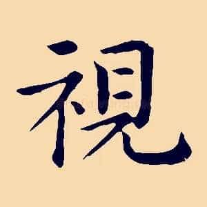 視