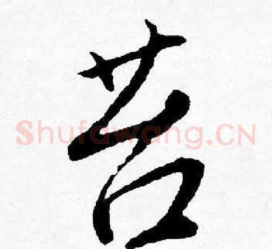 苔