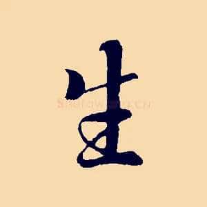 生