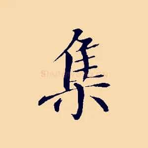 集
