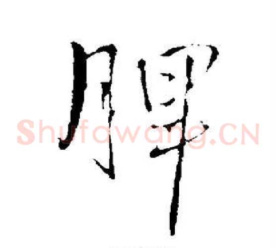 脾