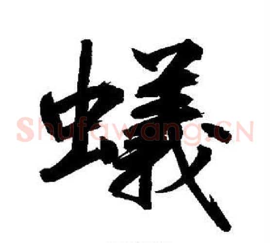 蚁