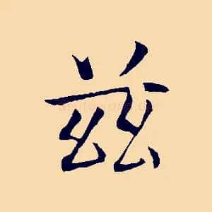 茲