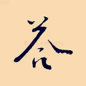 荅