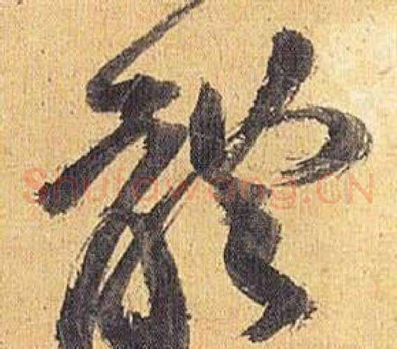 體