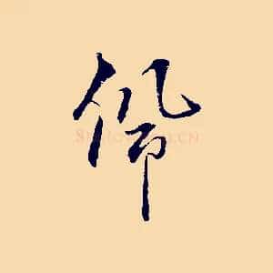 佩