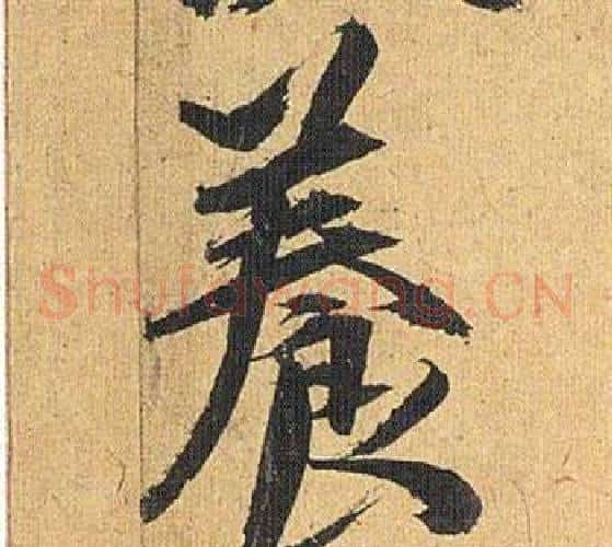 養