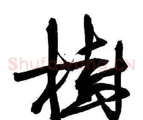 樹