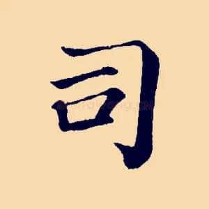司