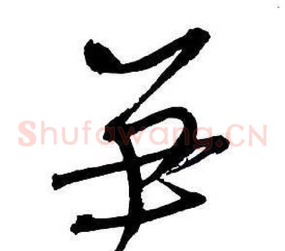 笋