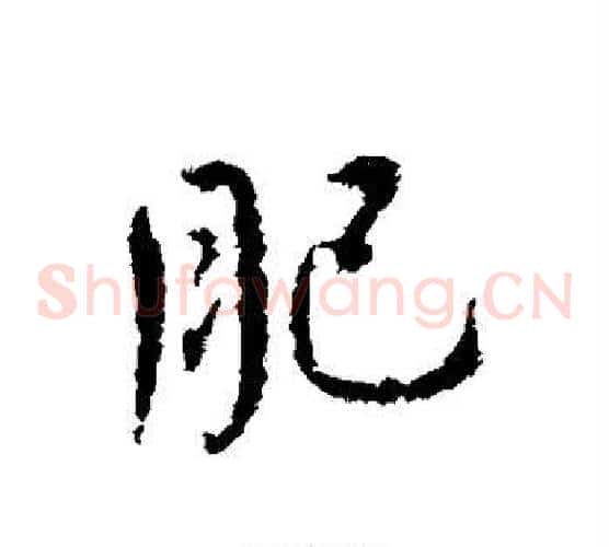 肥