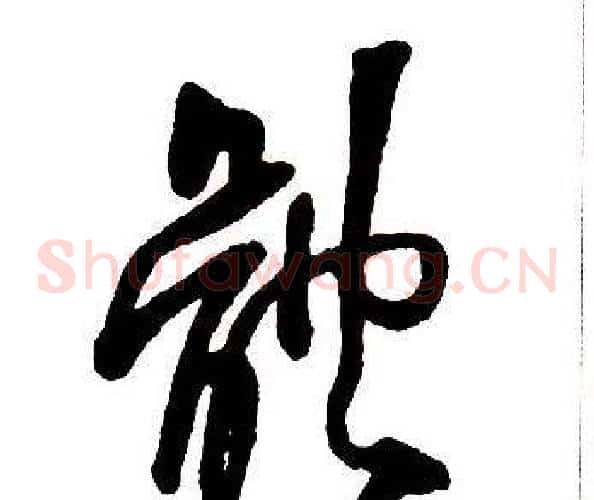 體
