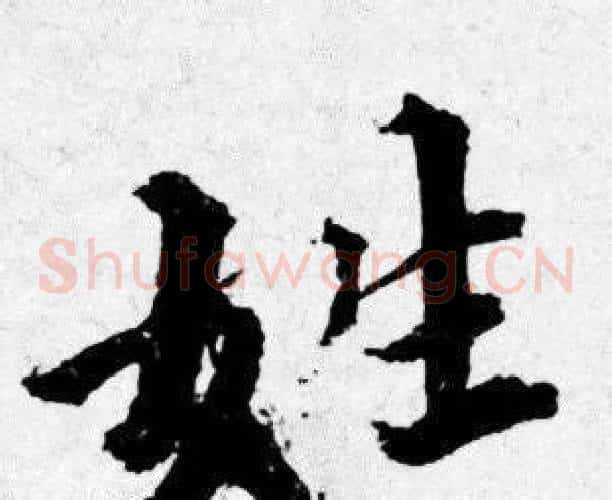 姓