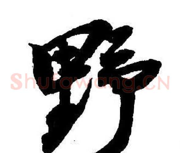 野