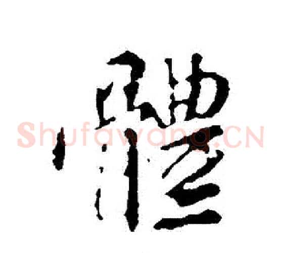 體