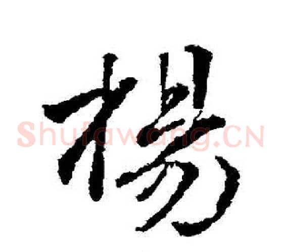 楊