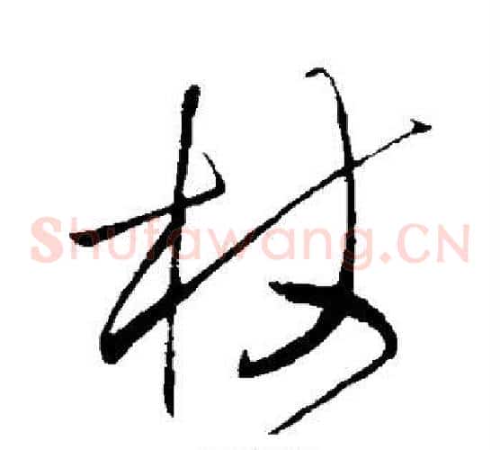 杖