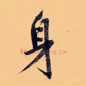 身