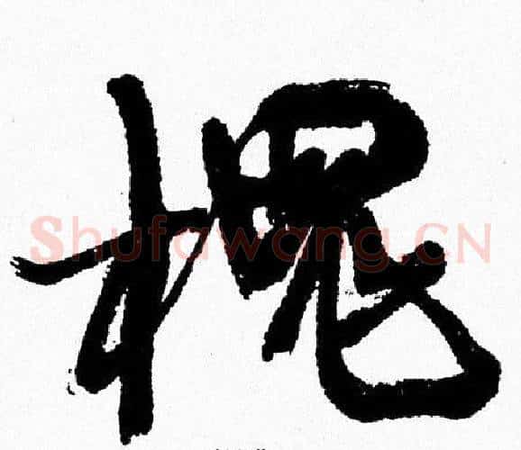 槐