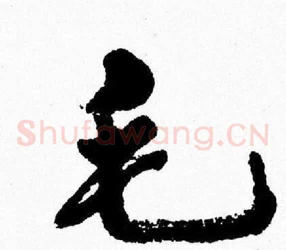 毛
