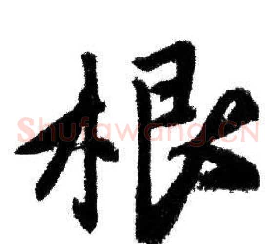 根