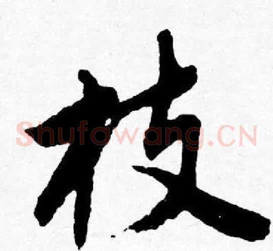 枝