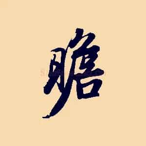 瞻