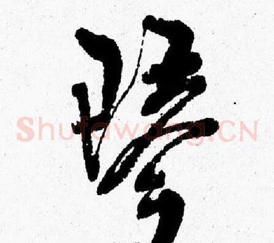 琴