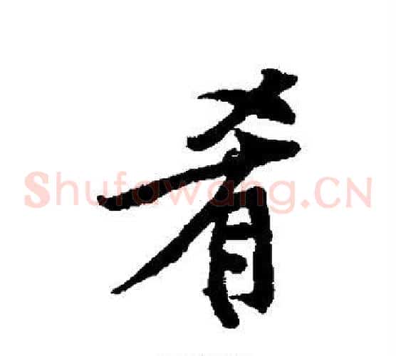 肴