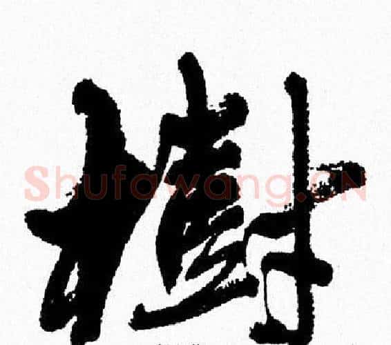 樹