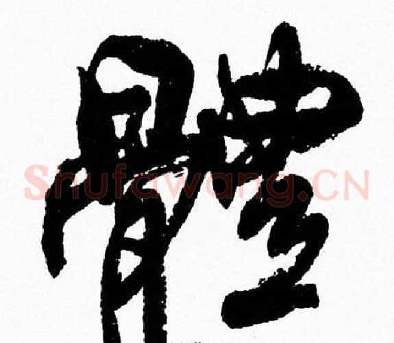 體
