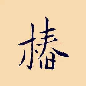 椿