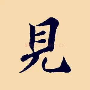 見