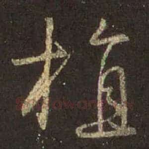 植