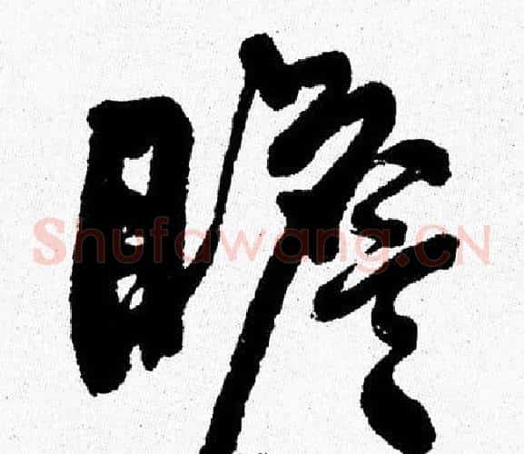 瞻