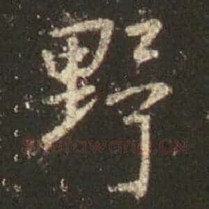 野