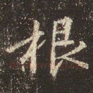 根