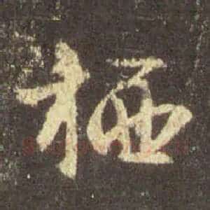 栖