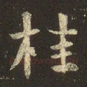桂