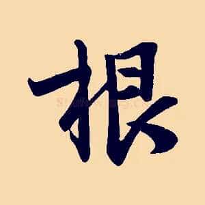 根