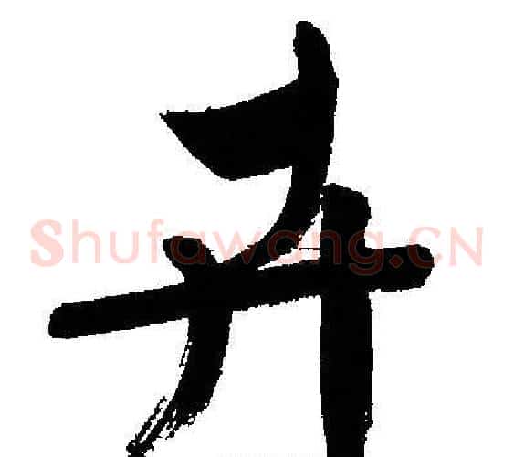 卉