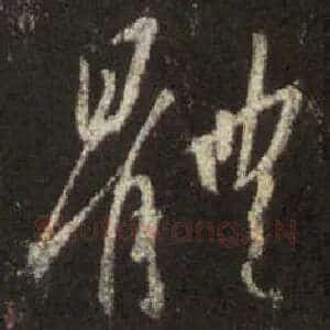 体