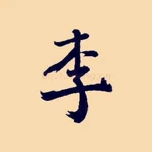 李