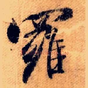 罗